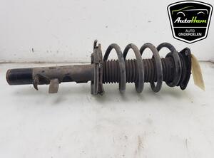 Shock Absorber FORD TRANSIT CONNECT V408 Box Body/MPV