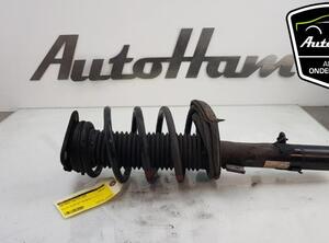 Shock Absorber FORD GRAND C-MAX (DXA/CB7, DXA/CEU), FORD C-MAX II (DXA/CB7, DXA/CEU)