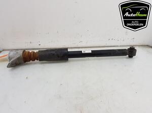 Shock Absorber AUDI A4 Avant (8W5, 8WD, B9)