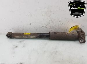 Shock Absorber OPEL ZAFIRA TOURER C (P12), OPEL ASTRA J Sports Tourer (P10)