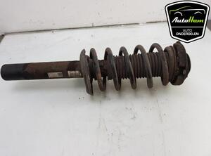 Shock Absorber VW CADDY III MPV (2KB, 2KJ, 2CB, 2CJ)