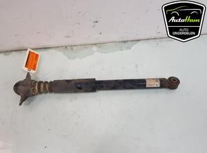 Shock Absorber VW TIGUAN (5N_)