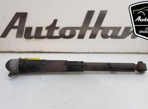 Shock Absorber VW TIGUAN (AD1, AX1), VW TIGUAN ALLSPACE (BW2)