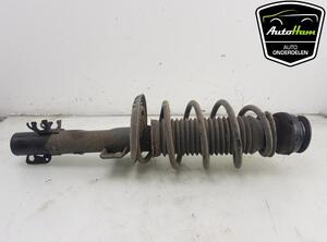 Shock Absorber SKODA FABIA III Estate (NJ5), SKODA RAPID (NH3, NK3, NK6), SKODA RAPID Spaceback (NH1)