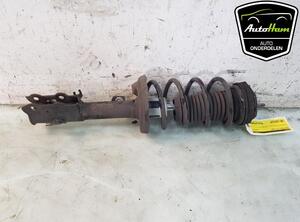 Shock Absorber FORD FIESTA VI (CB1, CCN)