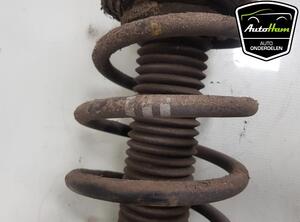 Shock Absorber VW TRANSPORTER V Van (7HA, 7HH, 7EA, 7EH)