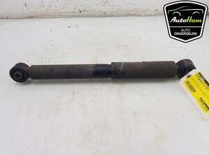 Shock Absorber VW TRANSPORTER V Van (7HA, 7HH, 7EA, 7EH)