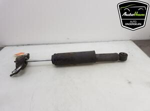 Shock Absorber OPEL INSIGNIA A Sports Tourer (G09), OPEL INSIGNIA A Country Tourer (G09)