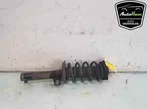 Shock Absorber VW PASSAT Variant (3C5)