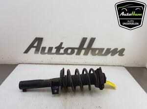 Shock Absorber AUDI A3 (8P1), AUDI A3 Sportback (8PA)