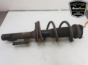 Shock Absorber FORD TRANSIT Bus (FD_ _, FB_ _, FS_ _, FZ_ _, FC_ _), FORD TRANSIT Van (FA_ _)