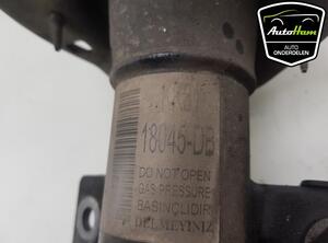 Shock Absorber FORD TRANSIT V363 Bus (FAD, FBD), FORD TRANSIT V363 Van (FCD, FDD)