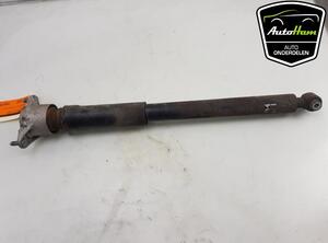 Shock Absorber MERCEDES-BENZ B-CLASS (W246, W242)