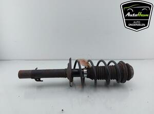 Shock Absorber TOYOTA AYGO (_B1_), CITROËN C1 (PM_, PN_), PEUGEOT 107 (PM_, PN_)