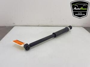 Shock Absorber RENAULT CLIO V (B7_)