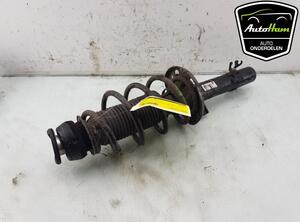 Shock Absorber AUDI A1 (8X1, 8XK), AUDI A1 Sportback (8XA, 8XF)