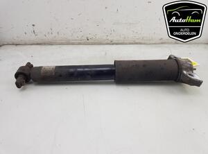 Shock Absorber FORD GALAXY III (CK), FORD S-MAX (CJ, WA6)