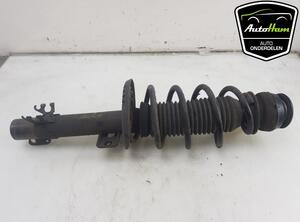 Shock Absorber SKODA RAPID (NH3, NK3, NK6), SKODA RAPID Spaceback (NH1), SKODA FABIA III Estate (NJ5)