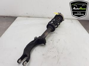 Shock Absorber AUDI A4 Avant (8W5, 8WD, B9), AUDI A5 Sportback (F5A, F5F)