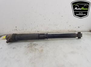 Shock Absorber VW TIGUAN (AD1, AX1), VW TIGUAN ALLSPACE (BW2)