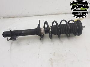 Shock Absorber TOYOTA AYGO (_B4_), PEUGEOT 108, CITROËN C1 II (PA_, PS_)