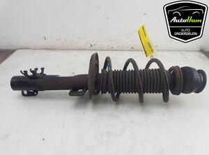 Shock Absorber SEAT IBIZA IV ST (6J8, 6P8)