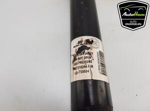 Shock Absorber FIAT DOBLO Cargo (263_)