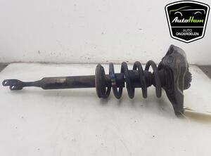 Shock Absorber AUDI A4 Avant (8E5, B6), AUDI A4 Avant (8ED, B7)