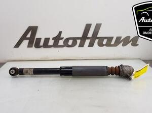 Shock Absorber AUDI A3 Limousine (8VS, 8VM), AUDI A3 Sportback (8YA)