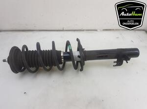 Shock Absorber PEUGEOT 108, TOYOTA AYGO (_B4_), CITROËN C1 II (PA_, PS_)