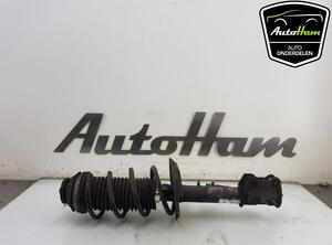 Shock Absorber FIAT PANDA (312_, 319_), FIAT PANDA VAN (312_, 519_)