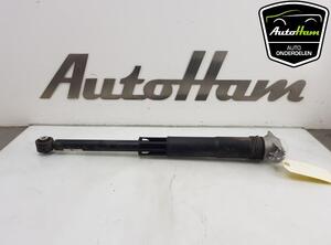 Shock Absorber VW POLO (AW1, BZ1)