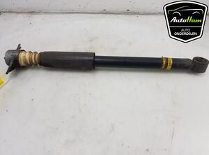 Shock Absorber VW POLO (6R1, 6C1), VW POLO Van (6R), SEAT IBIZA III (6L1), SEAT IBIZA IV (6J5, 6P1)