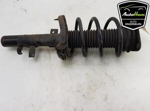 Shock Absorber FORD C-MAX II (DXA/CB7, DXA/CEU)