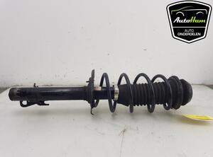 Shock Absorber PEUGEOT 108, TOYOTA AYGO (_B4_), CITROËN C1 II (PA_, PS_)