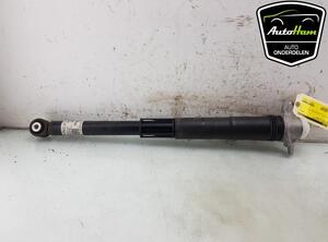 Shock Absorber SEAT LEON (KL1)