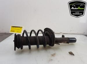 Shock Absorber FORD C-MAX II (DXA/CB7, DXA/CEU), FORD GRAND C-MAX (DXA/CB7, DXA/CEU)