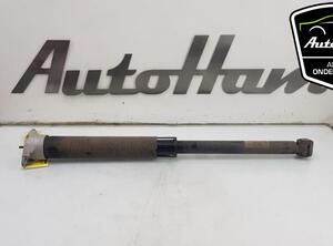 Shock Absorber FORD FIESTA VII (HJ, HF)