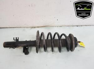 Shock Absorber VW TRANSPORTER V Van (7HA, 7HH, 7EA, 7EH)