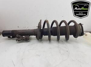 Shock Absorber FORD TRANSIT V363 Bus (FAD, FBD), FORD TRANSIT V363 Van (FCD, FDD)