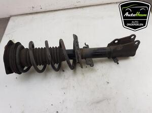 Shock Absorber RENAULT KANGOO / GRAND KANGOO (KW0/1_)