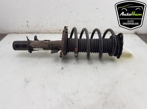 Shock Absorber FORD C-MAX II (DXA/CB7, DXA/CEU)