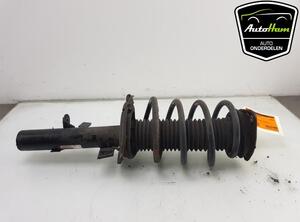 Shock Absorber FORD FOCUS III Turnier, FORD C-MAX II (DXA/CB7, DXA/CEU)