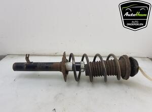 Shock Absorber PEUGEOT 107 (PM_, PN_), TOYOTA AYGO (_B1_), CITROËN C1 (PM_, PN_)