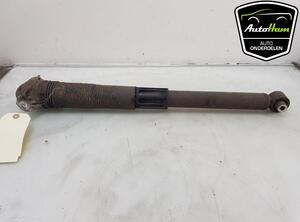 Shock Absorber VW TOURAN (5T1)