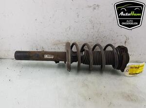 Shock Absorber SKODA OCTAVIA II Combi (1Z5), VW GOLF VI (5K1), VW GOLF VI Van (5K1_), VW GOLF VAN VI Variant (AJ5)