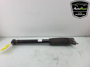 Shock Absorber TESLA MODEL 3 (5YJ3)