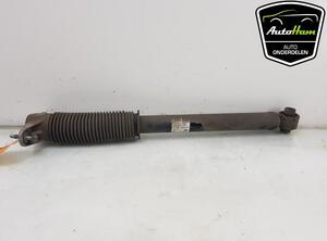 Shock Absorber TESLA MODEL 3 (5YJ3)