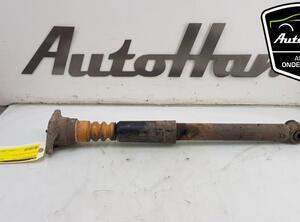 Shock Absorber AUDI A6 (4F2, C6)