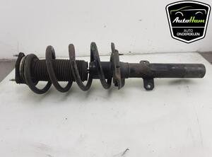 Shock Absorber FORD TRANSIT V363 Van (FCD, FDD), FORD TRANSIT V363 Bus (FAD, FBD)